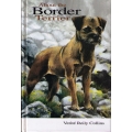 About the Border Terrier